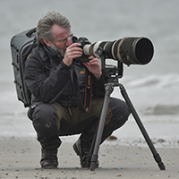 RALF WEISE – NATURFOTOGRAF – REFERENT