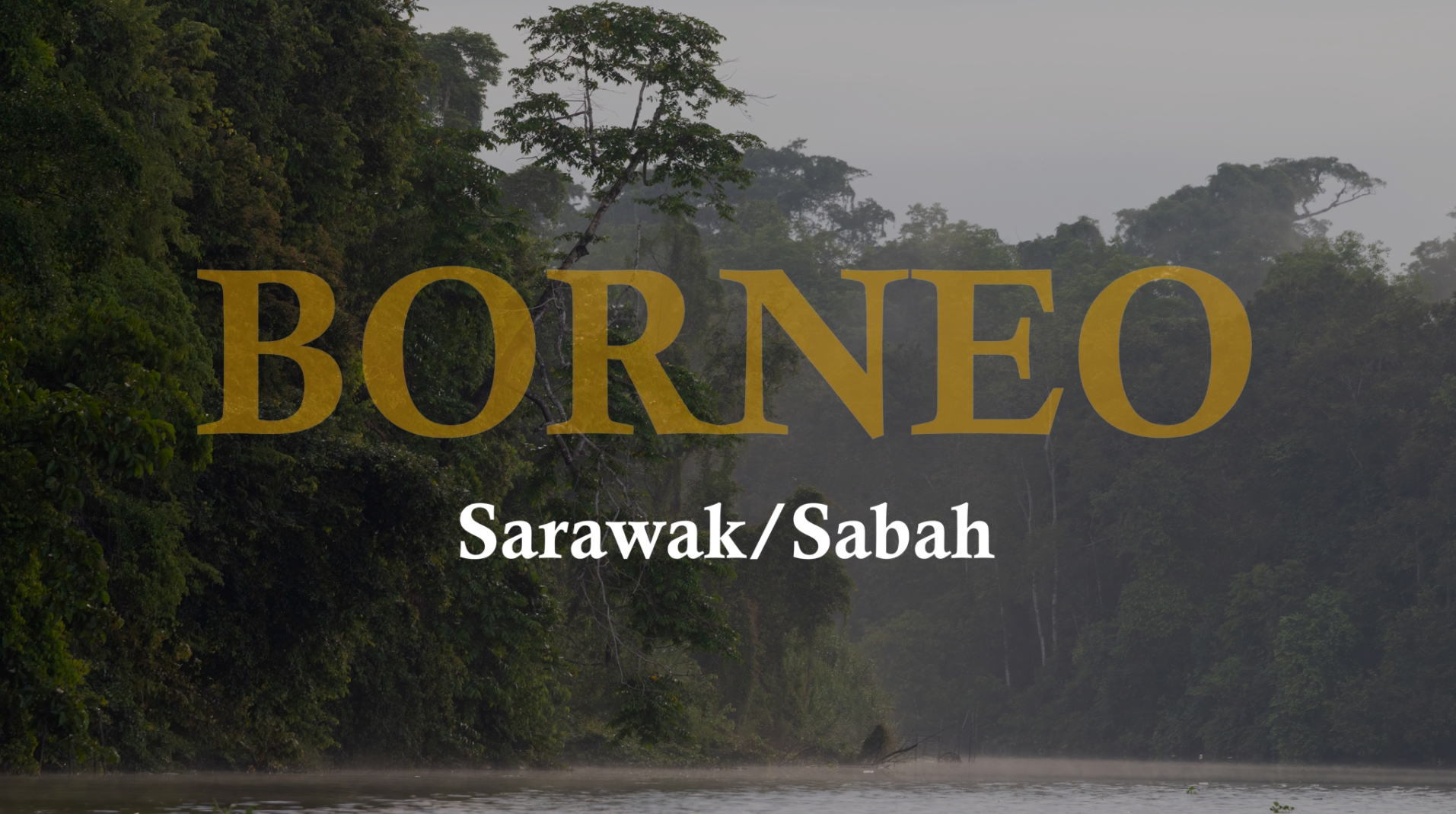 Borneo